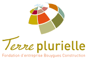 Logo Terre Plurielle