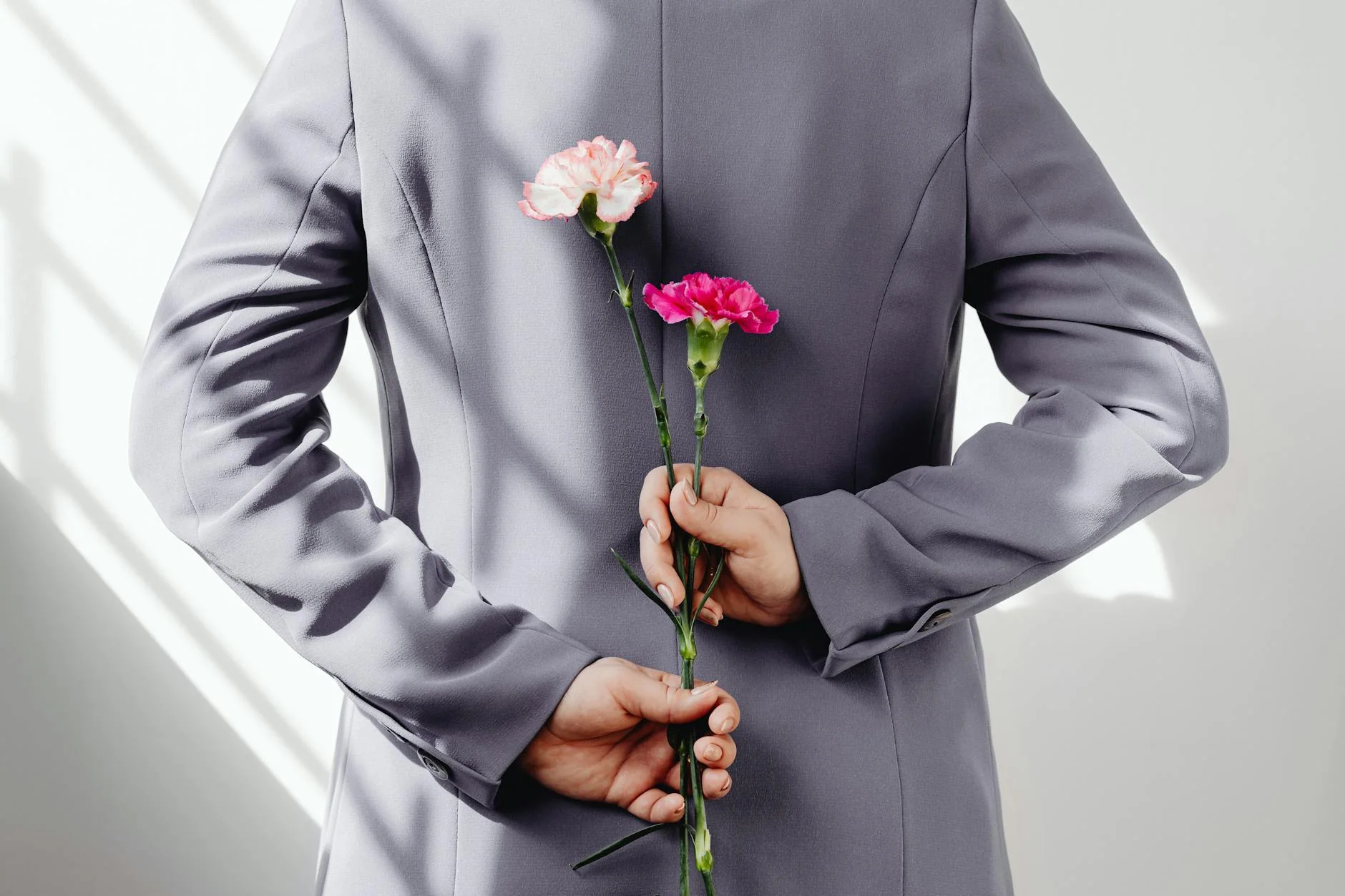 hands holding carnations